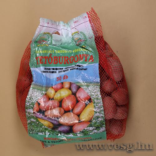 Vetburgonya - Minigum - Cleopatra 50 szem