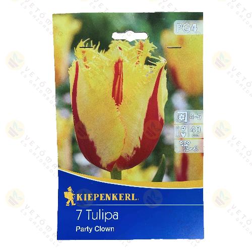 Tulip�n / Party Clown / 7db