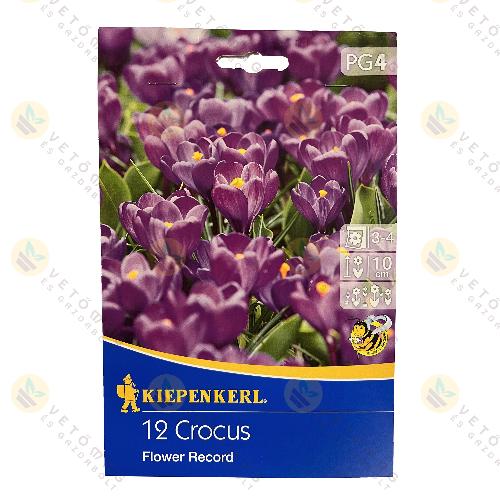 Kr�kusz / Flower Record / 12 db