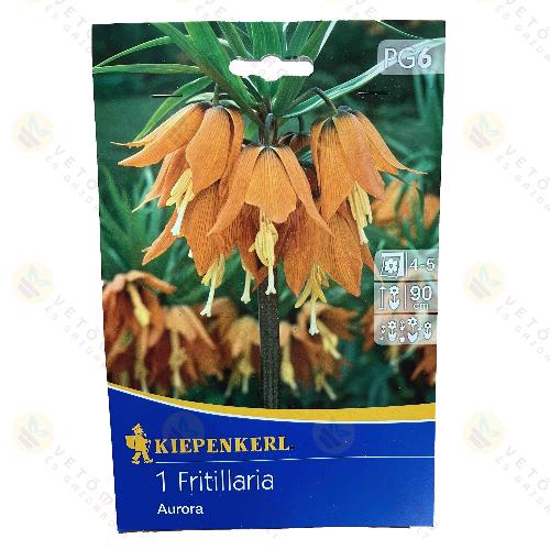 Cs�sz�rkorona / Aurora / 1db