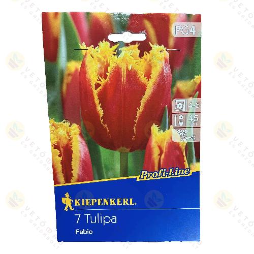 Tulip�n / Fabio / 7db