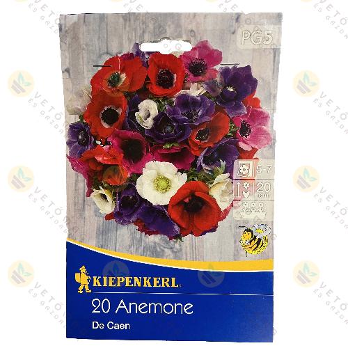 Koron�s szell�r�zsa / De Caen / 20 db