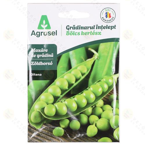 Vel�bors� - Oltena 75 szem