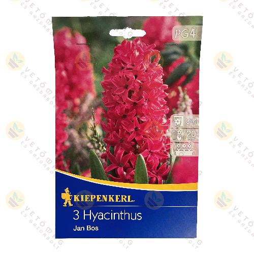 J�cint / Jan Bos / 3 db