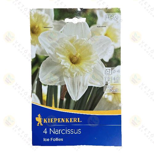 Nárcisz / Ice Follies / 4db