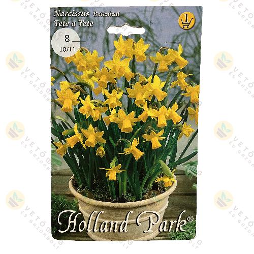N�rcisz - Tete a Tete 8 db