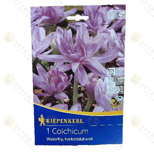 szi Kikerics / Teltvirg - Rzsaszn / 1db