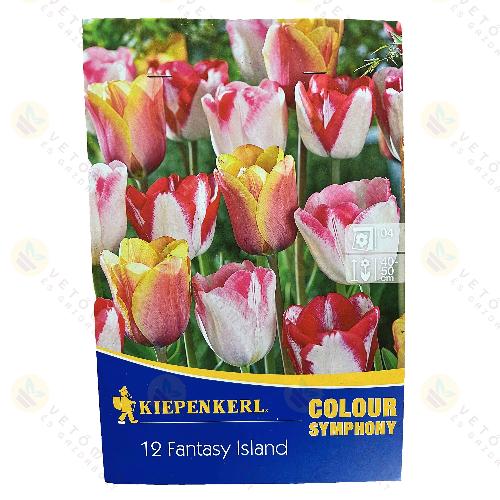 Tulip�n - Mega Pack - Joyful Garden Mix 12 db