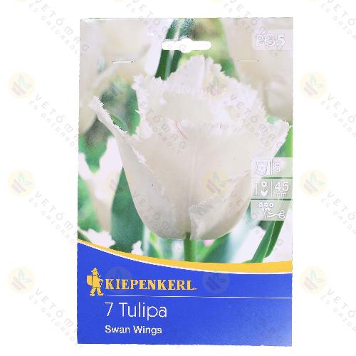 Tulip�n / Swan Wings / 7db