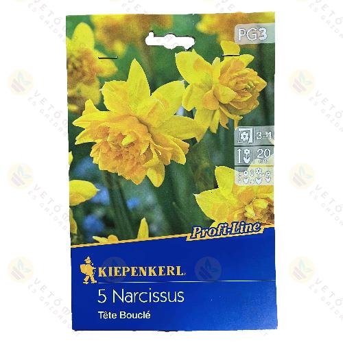 N�rcisz / Tete Boucle / 5db