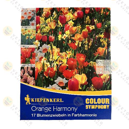 Colour Symphony Kollekci� / Orange Harmony / 17 db