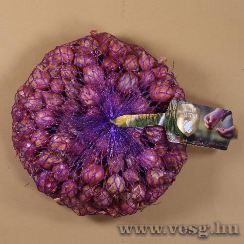 Dughagyma Tavaszi - Ptujski RD 500 g