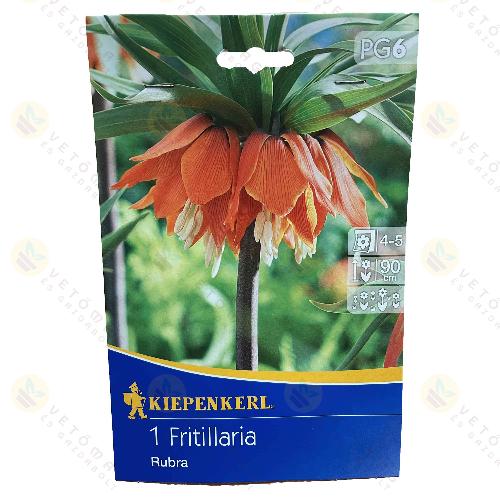 Császárkorona / Rubra / 1db