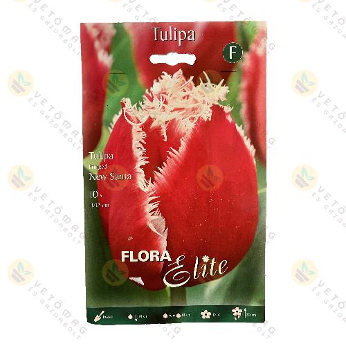 Tulip�n / New Santa / 10 db