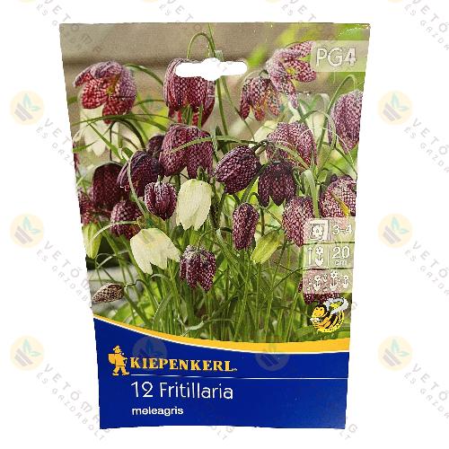 Mocs�ri Kock�sliliom 12 db