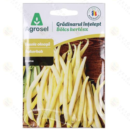 S�rgah�vely� Bokorbab - Ileana 75 szem