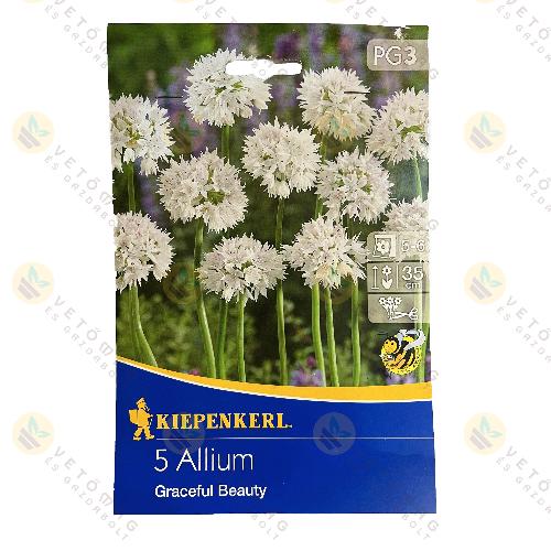 Díszhagyma / Graceful Beauty / 5 db