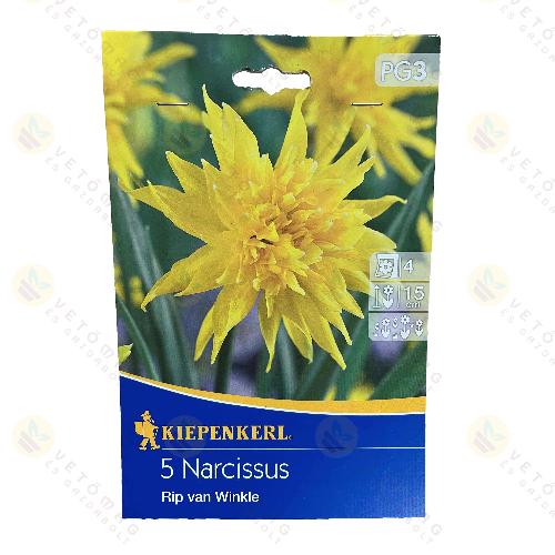 N�rcisz / Rip van Winkle / 5db