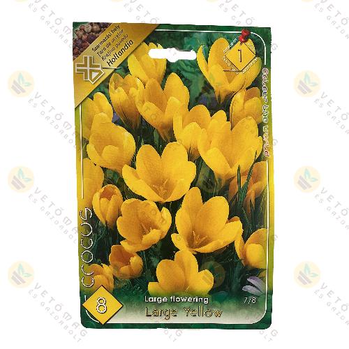 Kr�kusz - Large Yellow 8db