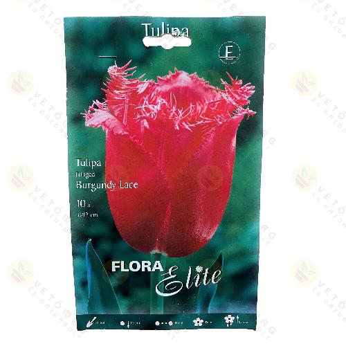 Tulip�n / Burgundy Lace / 10db