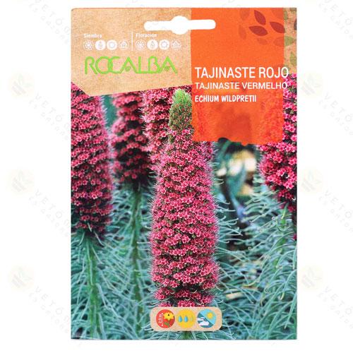 K�gy�szisz 5 szem