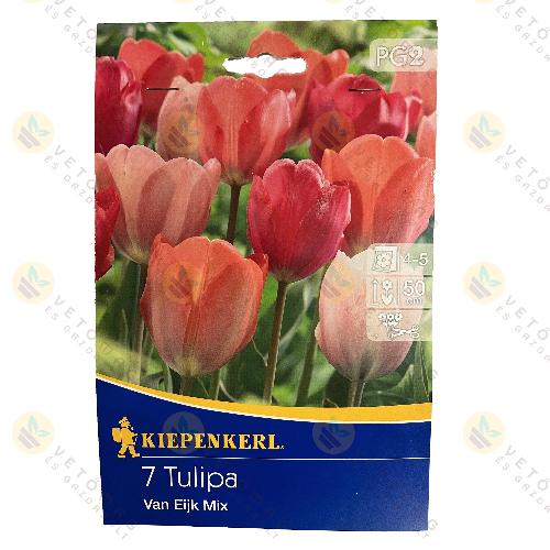 Tulip�n / Van Eijk Mix / 7 db