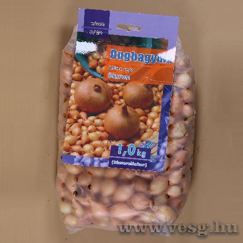 Dughagyma - Sturon - 1 kg