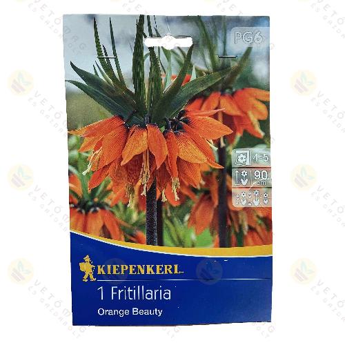 Cs�sz�rkorona / Orange Beauty / 1db