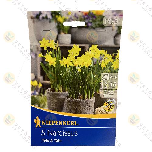 Nárcisz / Tete a tete / 5 db