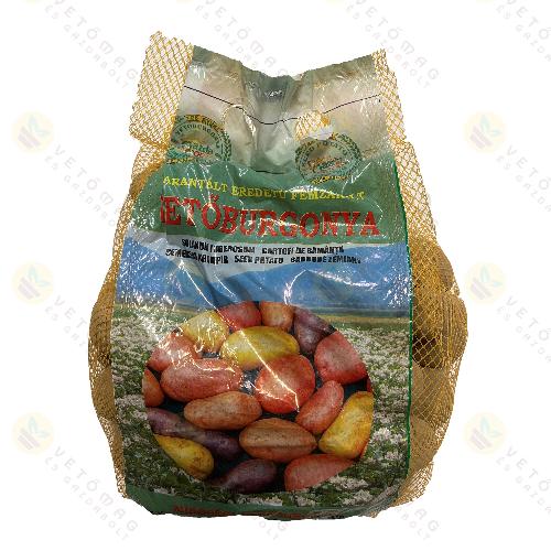 Vetburgonya Minigum / Soraya / 50 szem