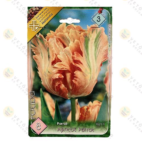 Tulip�n - Apricot Parrot 5 db