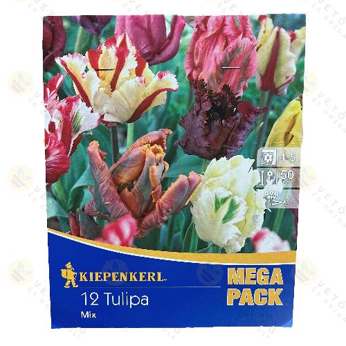 Tulip�n - Mega Pack - Parrot Mix 12 db