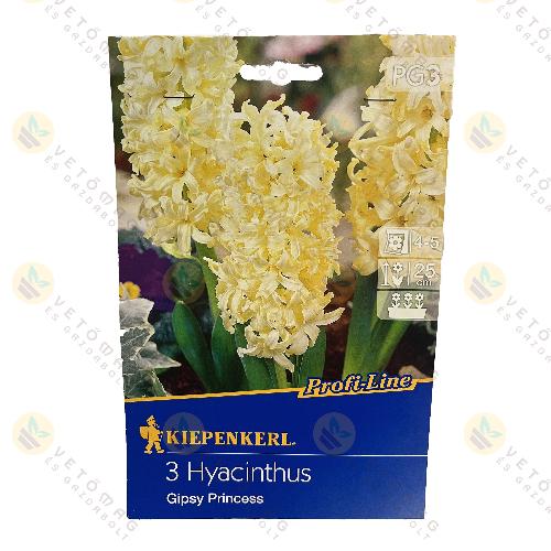 J�cint / Gipsy Princess / 3 db