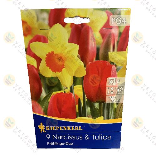 Nárcisz , Tulipán Duo / Frühlings Duo / 9 db