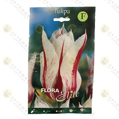 Tulipn / Marilyn / 10 db