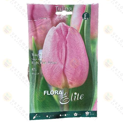 Tulip�n / Light Pink Prince / 10db