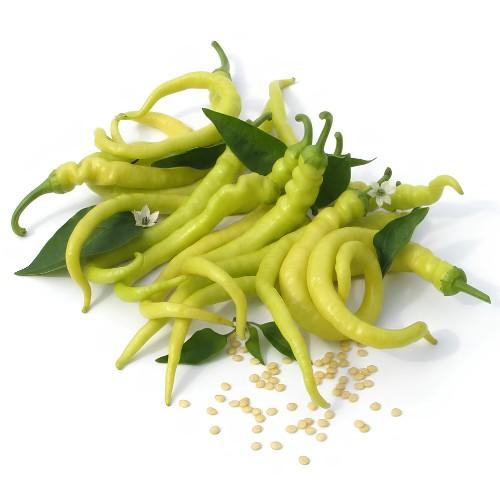 Paprika - �des Spir�l F1 - 1000 szem
