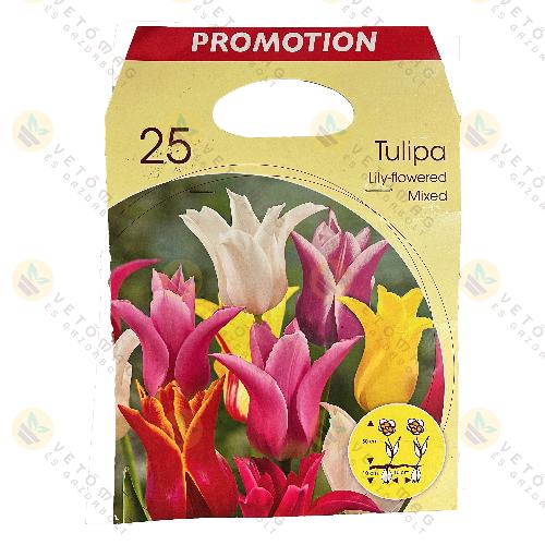 Tulipn / Lily - Flowered , Sznkeverk / 25 db