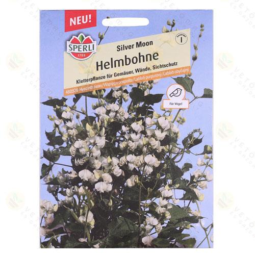 Sisakbab - Jácintbab - Silver Moon 1 csomag