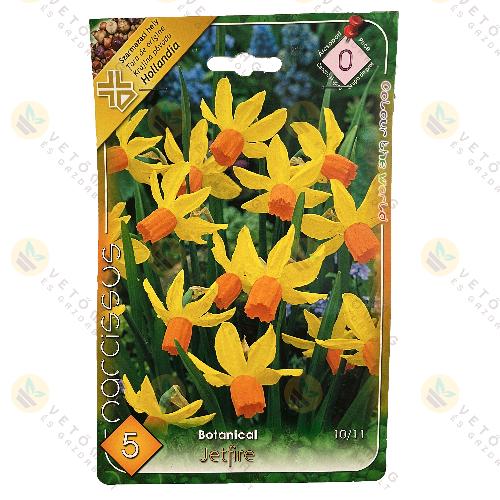 N�rcisz - Jetfire 5 db