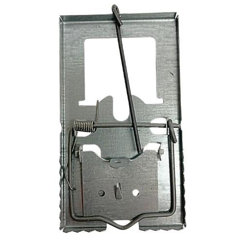 Eg�rfog� - F�m