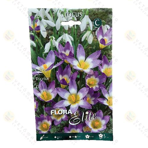 S�rgatork� Kr�kusz / Tricolor / 15db