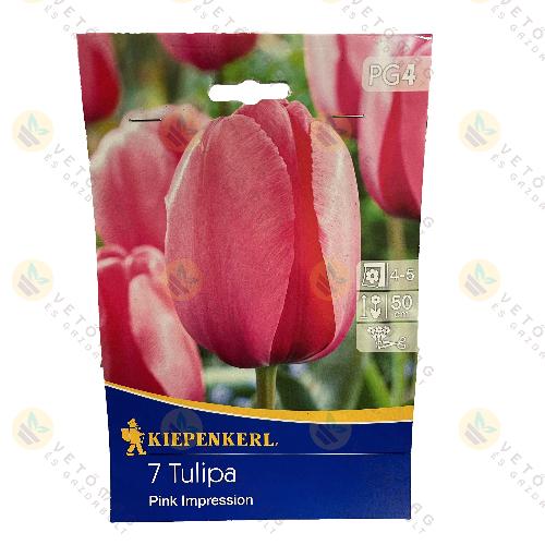 Tulip�n / Pink Impression / 7 db