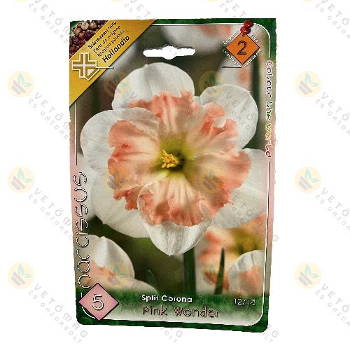 Nrcisz - Pink Wonder 5 db