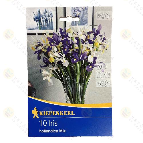 Holland N�szirom / Sz�nkever�k / 10db