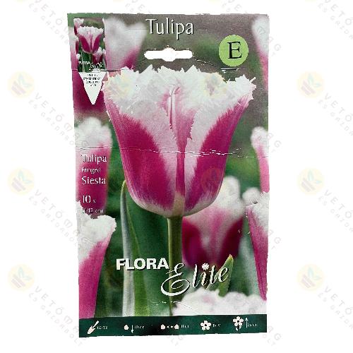 Tulip�n / Siesta / 10db