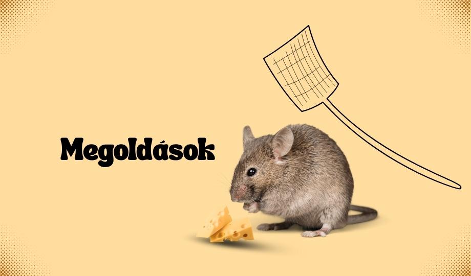 Rágcsálóírtás Rágcsálóírtás