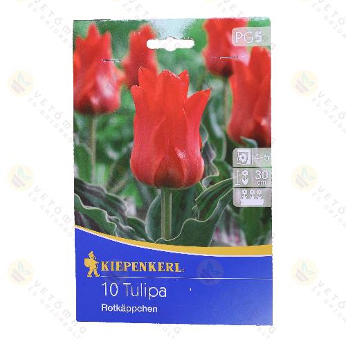 Tulip�n / Rotkappchen / 10db