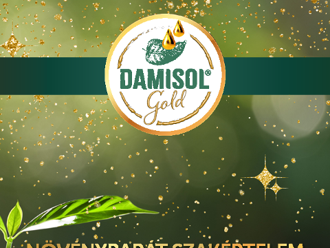 Damisol Katalgus 2024