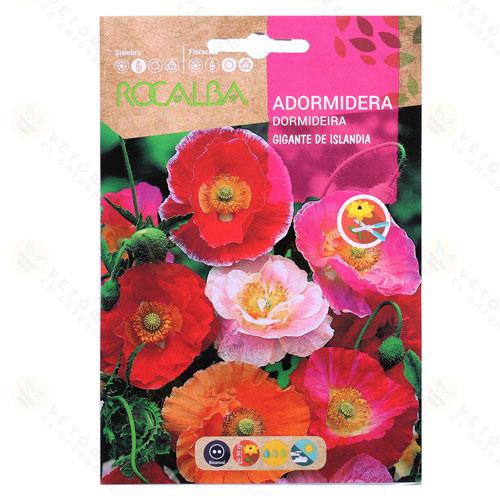 Izlandi M�k - Gigante de Islandia 1 g